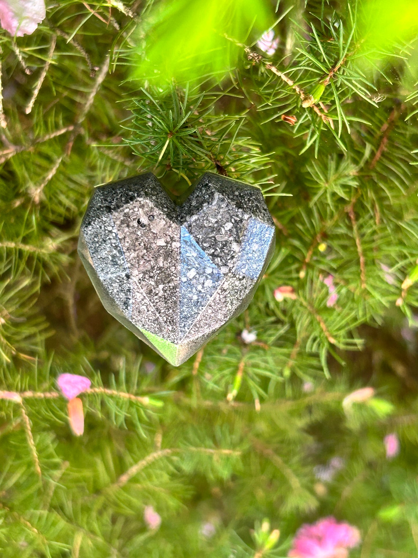 Real corazón